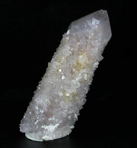 Cactus Quartz (Amethyst) Crystal - South Africa #33619
